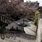 The Castle Gardens, Dublin Castle